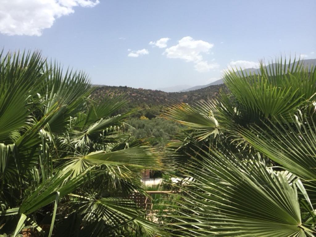 Domaine Malika - Adults Only Hotel Ouirgane Buitenkant foto